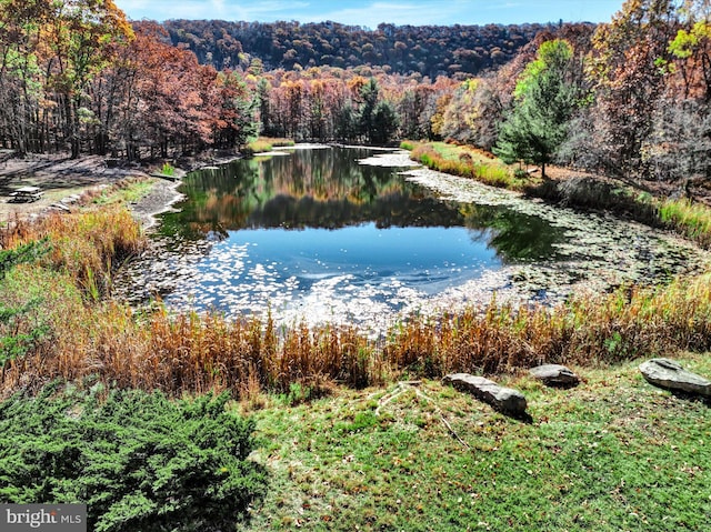 124 Spring Mountain Dr, Zion Grove, PA 17985
