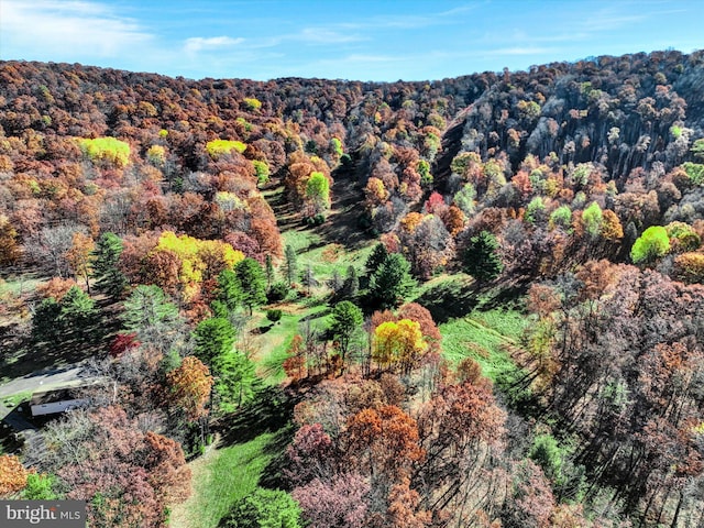 124 Spring Mountain Dr, Zion Grove, PA 17985