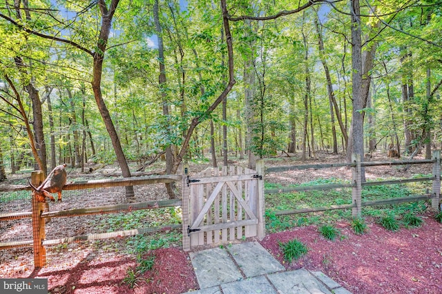 19802 Shady Brook Way, Gaithersburg, MD 20879 - view of yard featuring a gate and a view of trees