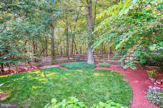 19802 Shady Brook Way, Gaithersburg, MD 20879 - view of fenced backyard