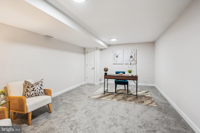 19802 Shady Brook Way, Gaithersburg, MD 20879 - office space with carpet floors and baseboards