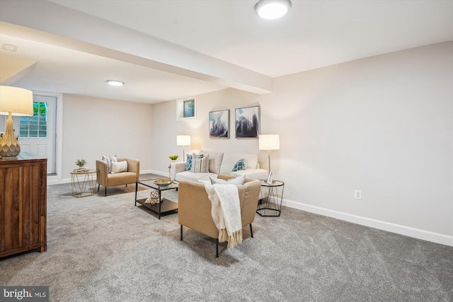 19802 Shady Brook Way, Gaithersburg, MD 20879 - living area featuring carpet flooring and baseboards