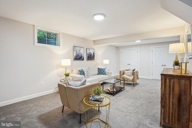 19802 Shady Brook Way, Gaithersburg, MD 20879 - living room with carpet