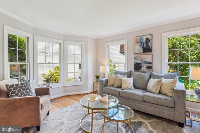 19802 Shady Brook Way, Gaithersburg, MD 20879 - living room featuring wood finished floors and crown molding