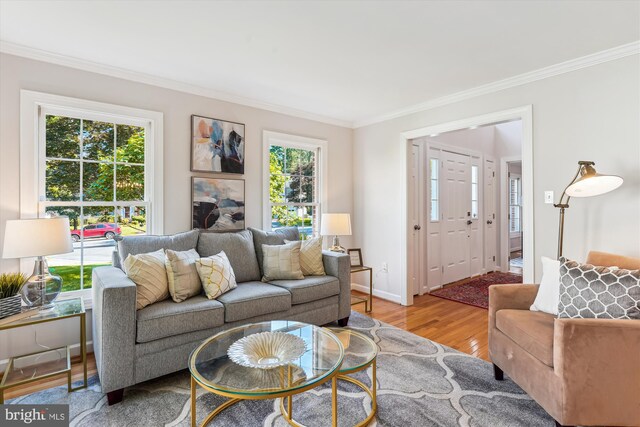 19802 Shady Brook Way, Gaithersburg, MD 20879 - living room featuring crown molding and wood finished floors