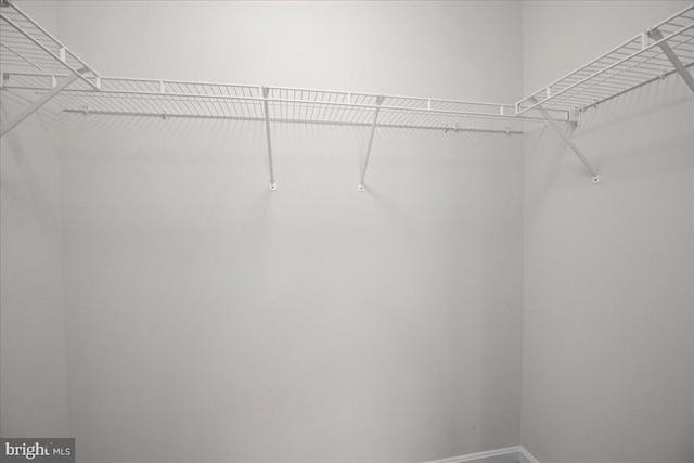126 Backstretch Way, Prince Frederick, MD 20678 - view of walk in closet