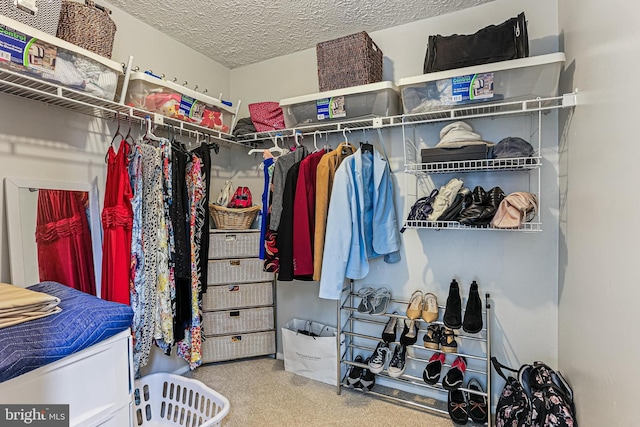 6786 Singletree Ct, Frederick, MD 21703 - walk in closet featuring carpet flooring