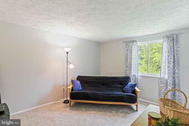 6786 Singletree Ct, Frederick, MD 21703 - living area with carpet, baseboards, and a textured ceiling