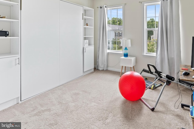 12916 Steam Mill Farm Dr, Brandywine, MD 20613 - exercise room with carpet