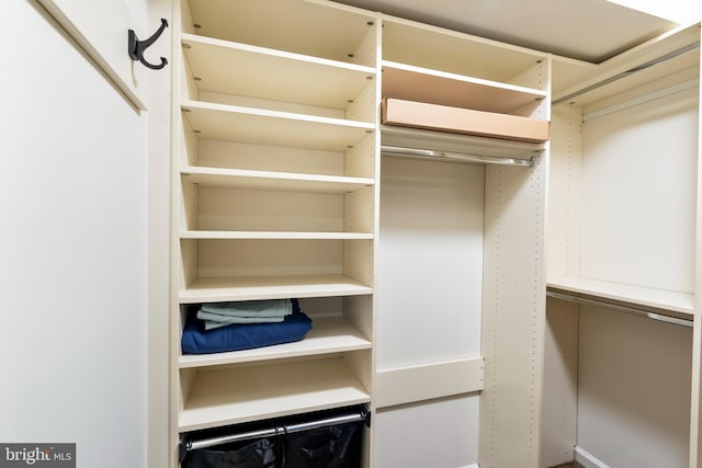 12916 Steam Mill Farm Dr, Brandywine, MD 20613 - view of spacious closet