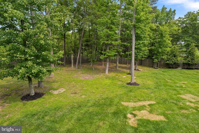 12916 Steam Mill Farm Dr, Brandywine, MD 20613 - view of yard
