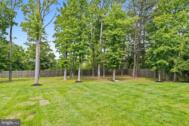 12916 Steam Mill Farm Dr, Brandywine, MD 20613 - view of yard