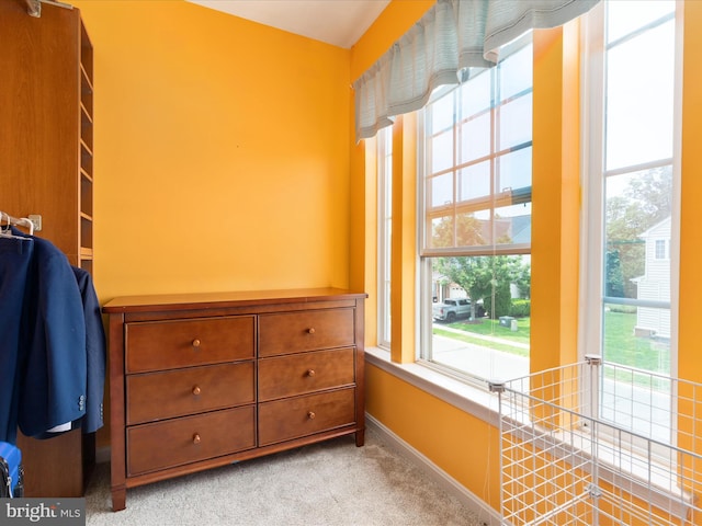 6040 Gayleburg Pl, Gainesville, VA 20155 - walk in closet with light carpet