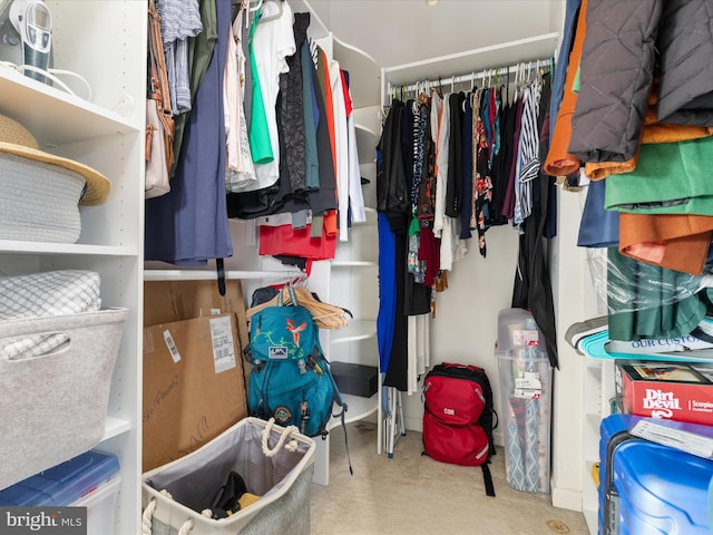 6040 Gayleburg Pl, Gainesville, VA 20155 - walk in closet with carpet flooring
