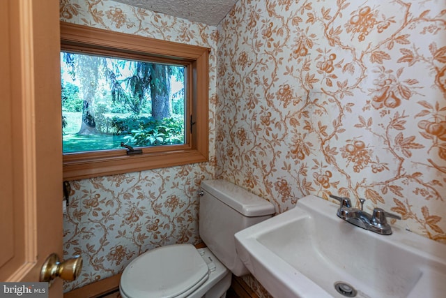 100 Carson Rd, Princeton, NJ 08540 - half bath with wallpapered walls, a sink, toilet, and a textured ceiling