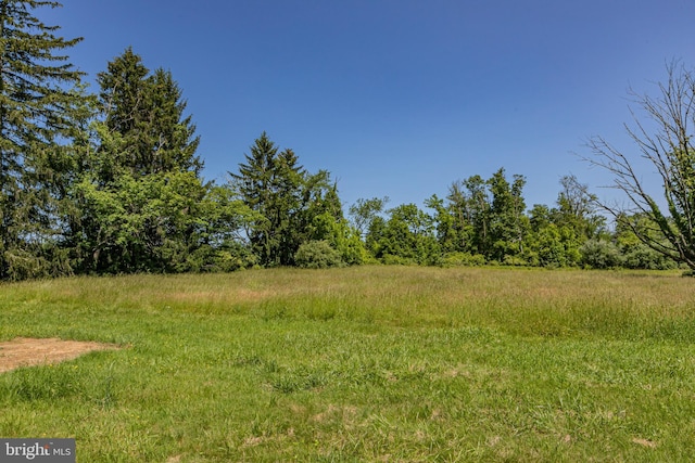 100 Carson Rd, Princeton, NJ 08540 - view of yard