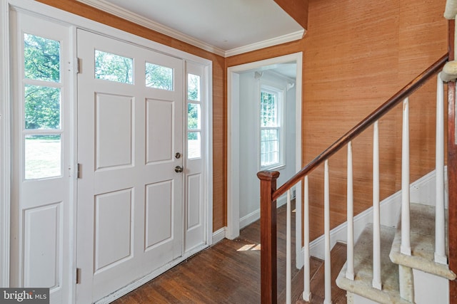 100 Carson Rd, Princeton, NJ 08540 - foyer entrance featuring crown molding, dark wood-style flooring, and baseboards