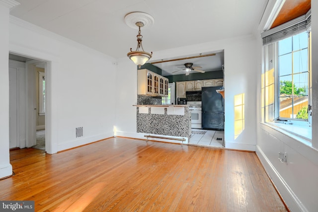 5919 Sefton Ave, Baltimore, MD 21214 - unfurnished living room featuring a ceiling fan, light wood-type flooring, ornamental molding, and baseboards