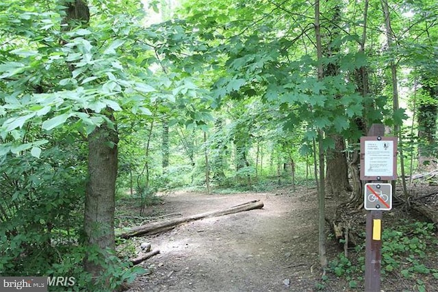 2800 Wisconsin Ave NW Unit 504, Washington, DC 20007 - view of street featuring a forest view