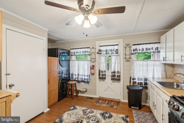 137 2nd St, Bordentown, NJ 08505 - kitchen with a sink, stacked washer / dryer, stainless steel range oven, plenty of natural light, and crown molding