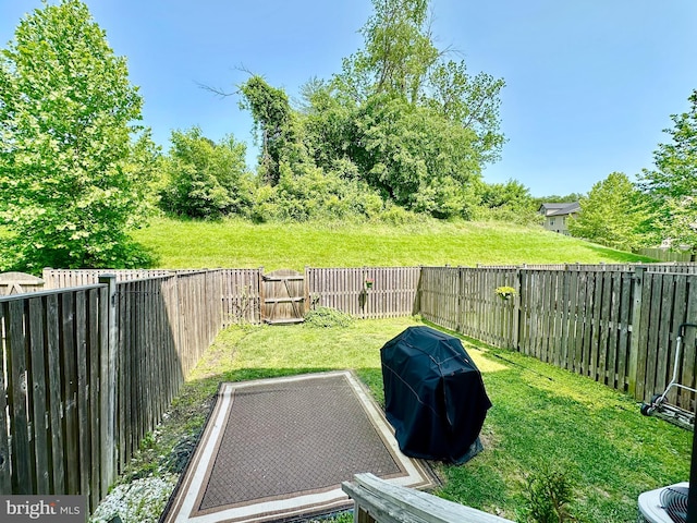 6967 Country Club Ter, New Market, MD 21774 - view of yard