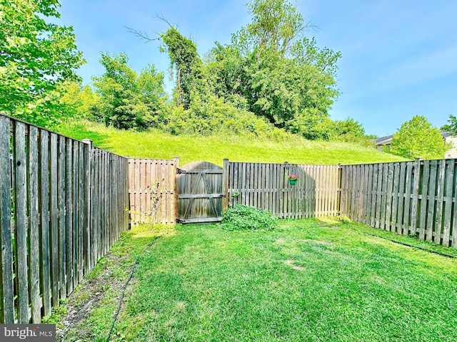6967 Country Club Ter, New Market, MD 21774 - view of yard with a gate