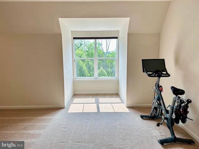 6967 Country Club Ter, New Market, MD 21774 - workout room with carpet flooring and baseboards