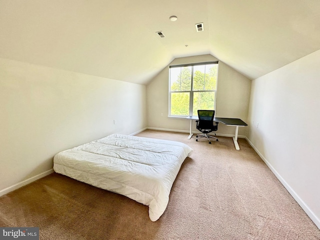 6967 Country Club Ter, New Market, MD 21774 - bedroom with carpet floors, lofted ceiling, and baseboards