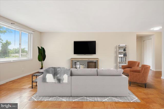 1900 Lyttonsville Rd NE Unit 509, Silver Spring, MD 20910 - living room with baseboards