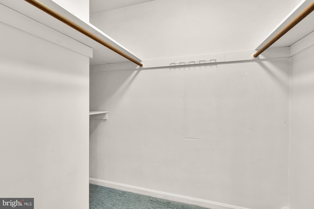 5404 Nedra Ave, Alexandria, VA 22310 - walk in closet featuring carpet flooring