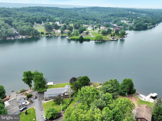 2054 Buckskin Cv, Auburn, PA 17922 - bird's eye view of a nearby body of water and a forest