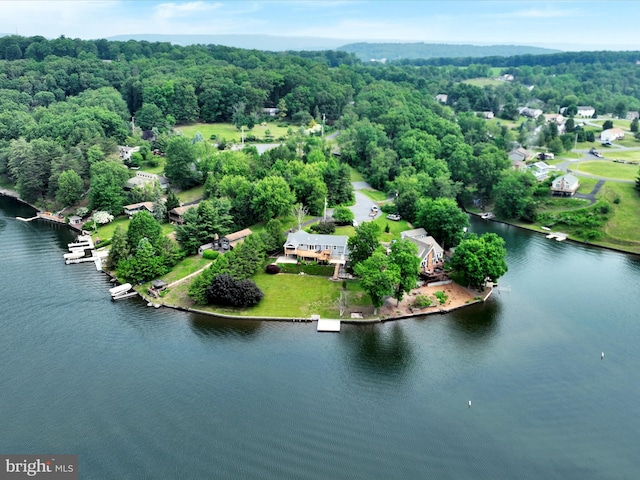 2054 Buckskin Cv, Auburn, PA 17922 - aerial view of a large body of water and a heavily wooded area