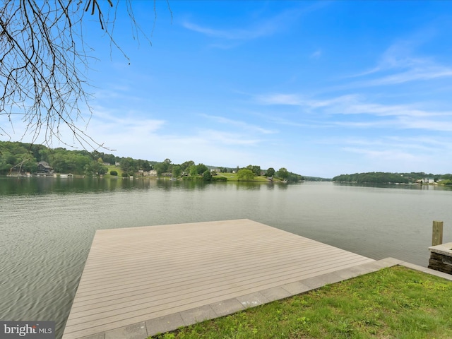 2054 Buckskin Cv, Auburn, PA 17922 - dock area featuring a water view