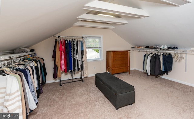 921 Coopertown Rd, Bryn Mawr, PA 19010 - spacious closet with carpet flooring and vaulted ceiling