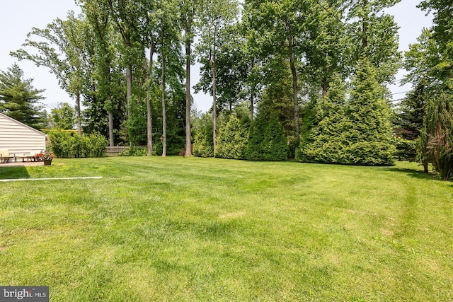 921 Coopertown Rd, Bryn Mawr, PA 19010 - view of green lawn