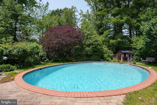 84 Cuyler Rd, Princeton, NJ 08540 - swimming pool featuring view of scattered trees and a storage unit
