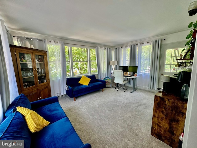 701 25th St, Huntingdon, PA 16652 - sunroom / solarium featuring carpet flooring