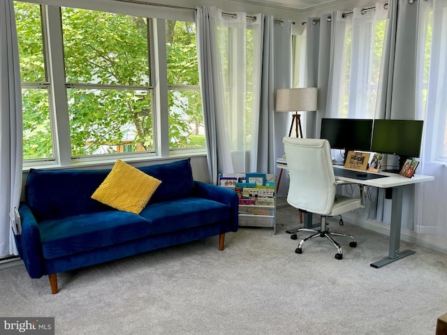 701 25th St, Huntingdon, PA 16652 - home office featuring healthy amount of natural light and carpet