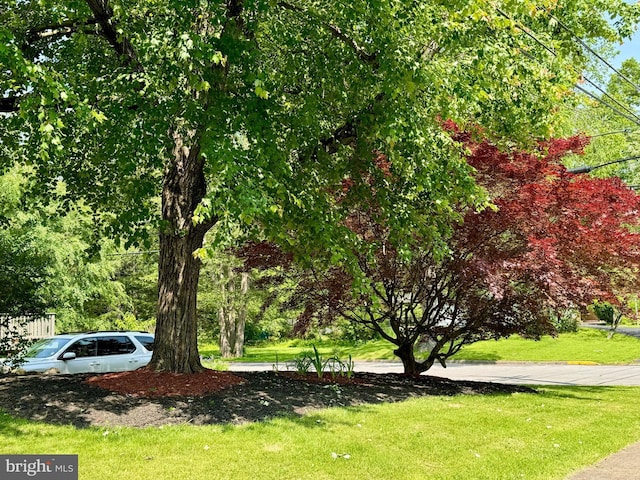 701 25th St, Huntingdon, PA 16652 - view of green lawn