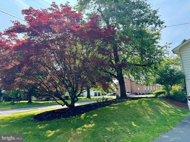 701 25th St, Huntingdon, PA 16652 - view of green lawn