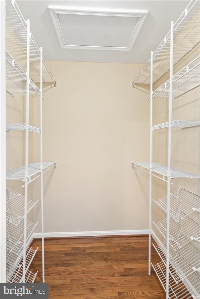 205 Quiet Ridge Ct, Pasadena, MD 21122 - walk in closet with attic access and wood finished floors