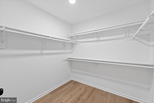 21788 Regents Park Cir, Sterling, VA 20166 - walk in closet with light wood finished floors