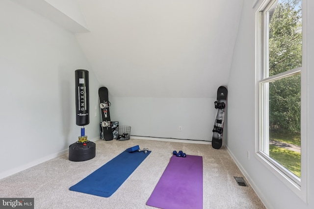 1012 Columbus Rd, Burlington, NJ 08016 - workout room with lofted ceiling, healthy amount of natural light, and carpet flooring