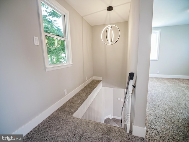 1200 First Ave, Media, PA 19063 - stairs with carpet floors