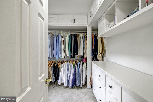 3 Monroe Ct, Plainsboro, NJ 08536 - walk in closet featuring light carpet
