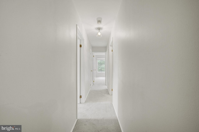 3 Monroe Ct, Plainsboro, NJ 08536 - hallway with light carpet and baseboards