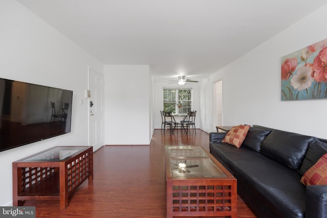 211 E Glebe Rd Unit C, Alexandria, VA 22305 - living area featuring wood finished floors and a ceiling fan