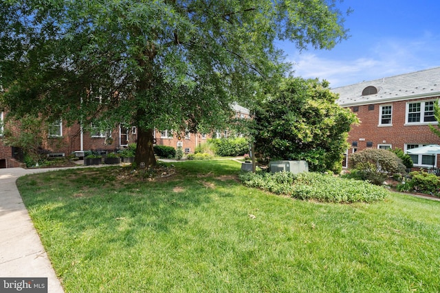 211 E Glebe Rd Unit C, Alexandria, VA 22305 - view of green lawn