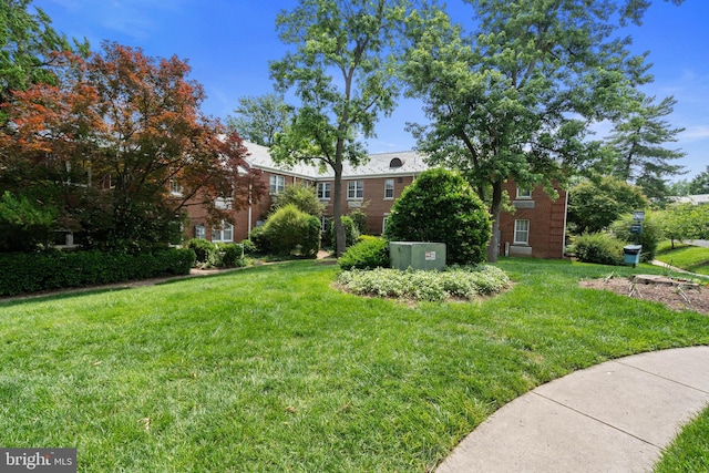 211 E Glebe Rd Unit C, Alexandria, VA 22305 - view of green lawn