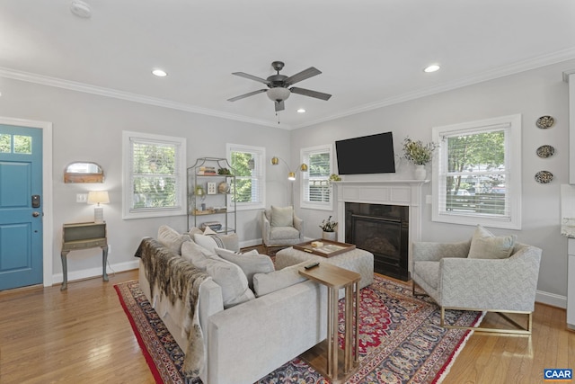 1012 Locust Ln, Charlottesville, VA 22901 - living area featuring plenty of natural light, baseboards, light wood-style flooring, ceiling fan, and ornamental molding